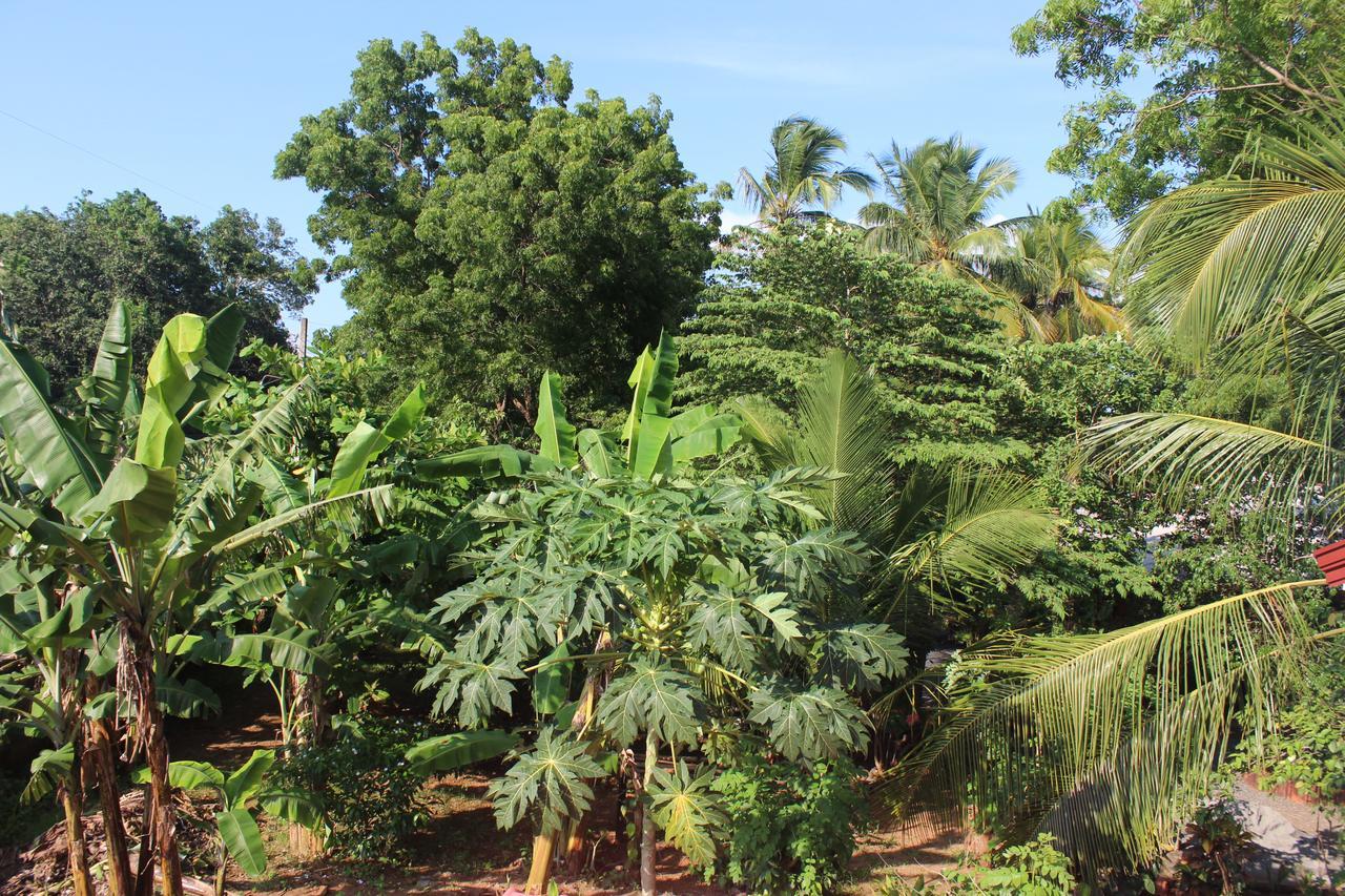 Walawa Family Villa Udawalawe Eksteriør bilde